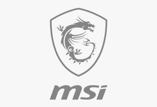 MSI