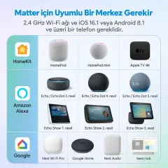 Meross MSS315 Matter Akıllı Priz