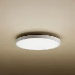 Xiaomi Akıllı Tavan Lambası D40