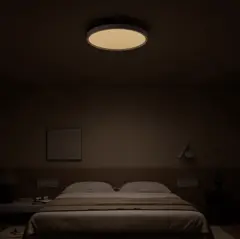 Xiaomi Smart Ceiling Light D20 - Sensörlü Akıllı Tavan Lambası