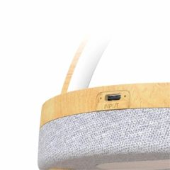 EZVALO Wireless Charging, Music and Desk Lamp