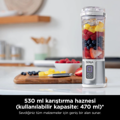 Ninja Blast Taşınabilir Blender