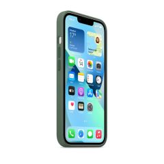 iPhone 13 Pro - MagSafe Özellikli Silikon Kılıf Okaliptus