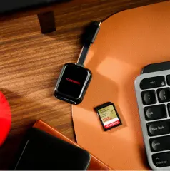 SanDisk Extreme GO SD UHS-I 256GB Hafıza Kartı