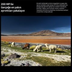 Samsung Galaxy S24 Ultra - 256GB